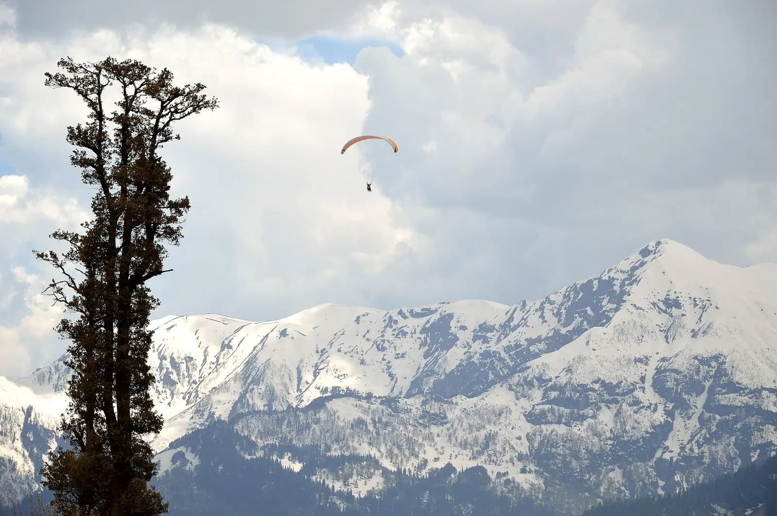 A paraglider above Gulaba in the Kullu valley, Himachal Pradesh