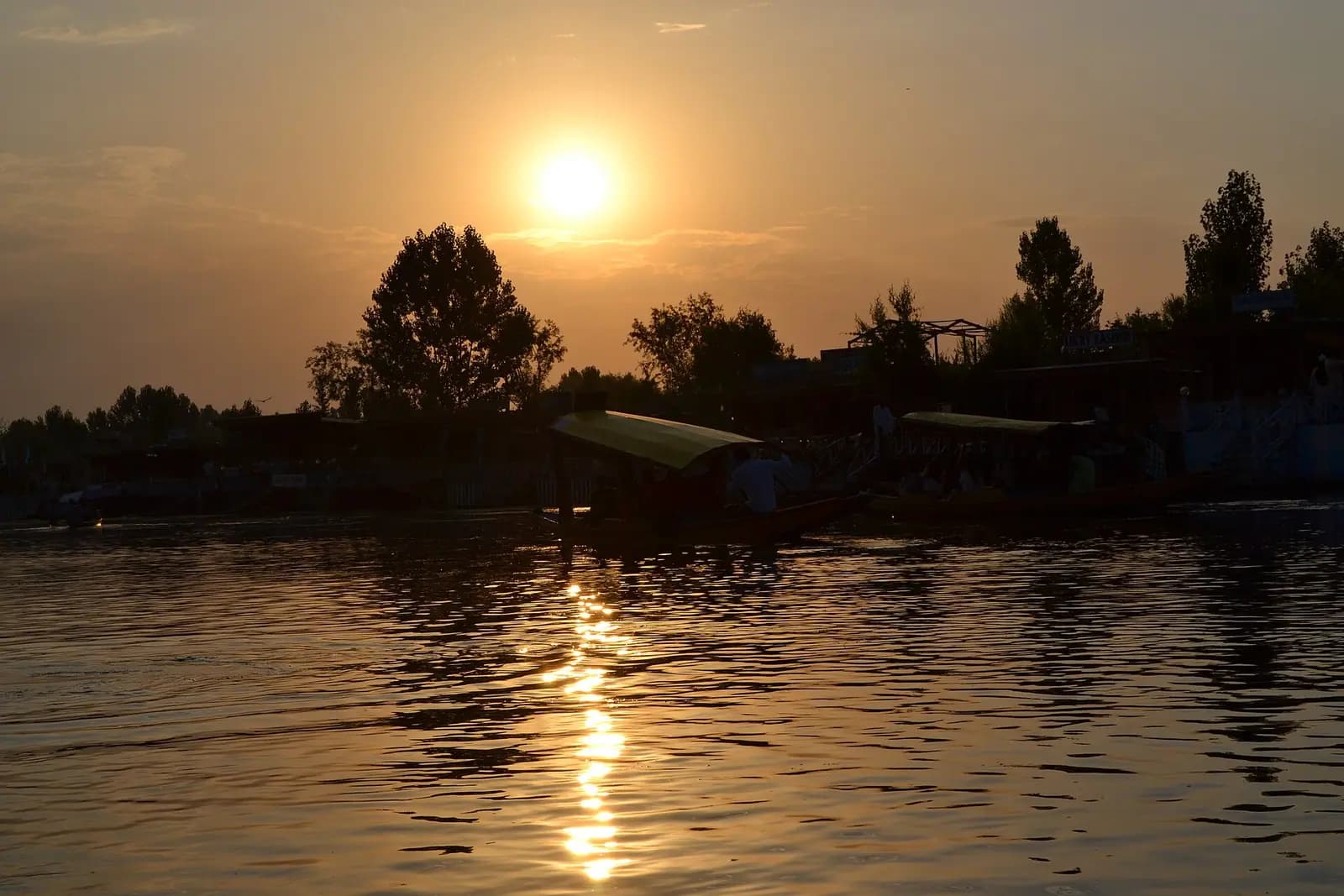 A shikara on the still water of Dal Lake, Srinagar — a classic honeymoon setting in Kashmir