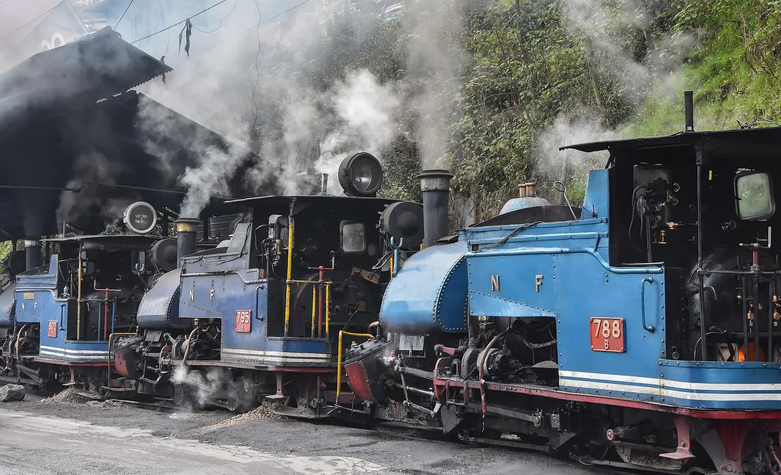 The Darjeeling Himalayan Railway steam toy train on its hillside track in West Bengal