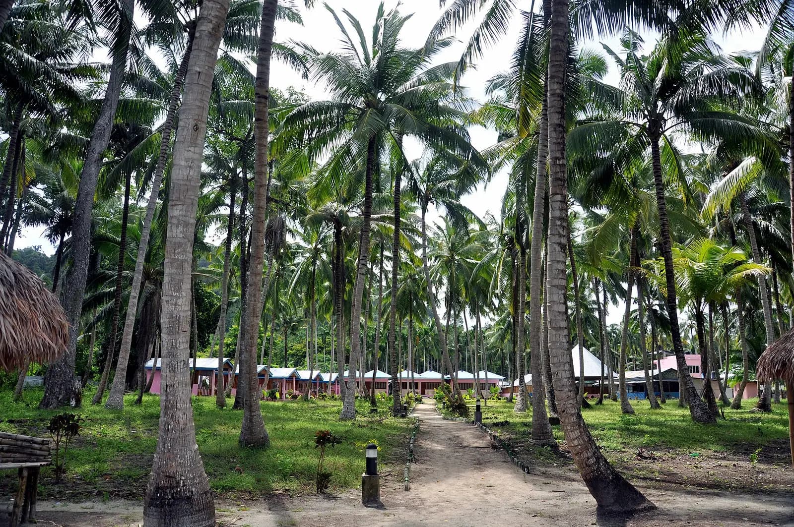 A beachside resort among palms on Havelock Island, Andaman