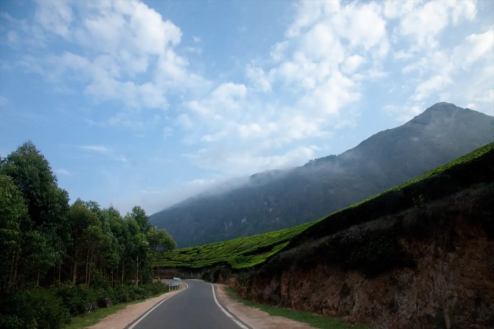 Mist moving across the Western Ghats above the tea estates of Munnar, Kerala
