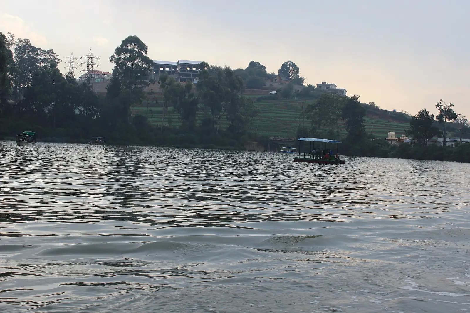 Rowing boats on Ooty lake in the Nilgiri hills, Tamil Nadu