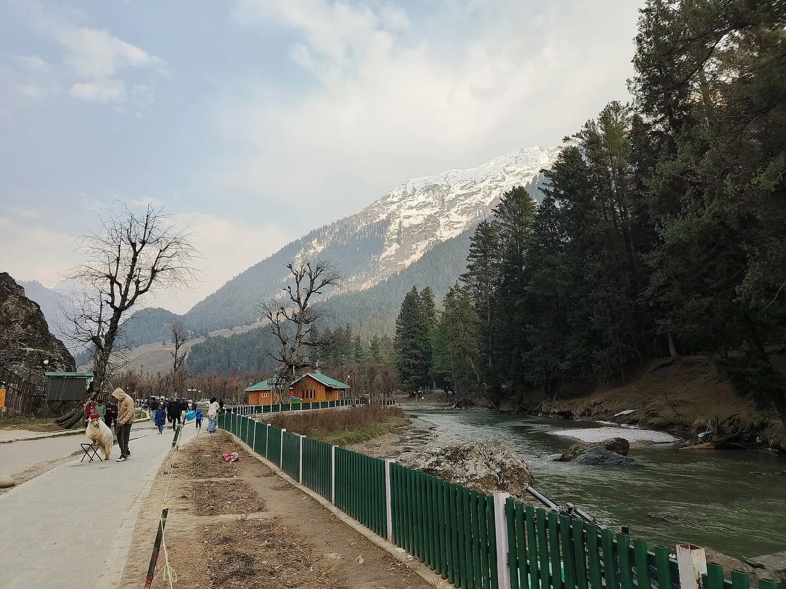 The green floor of Betaab Valley between steep pine ridges near Pahalgam, Kashmir