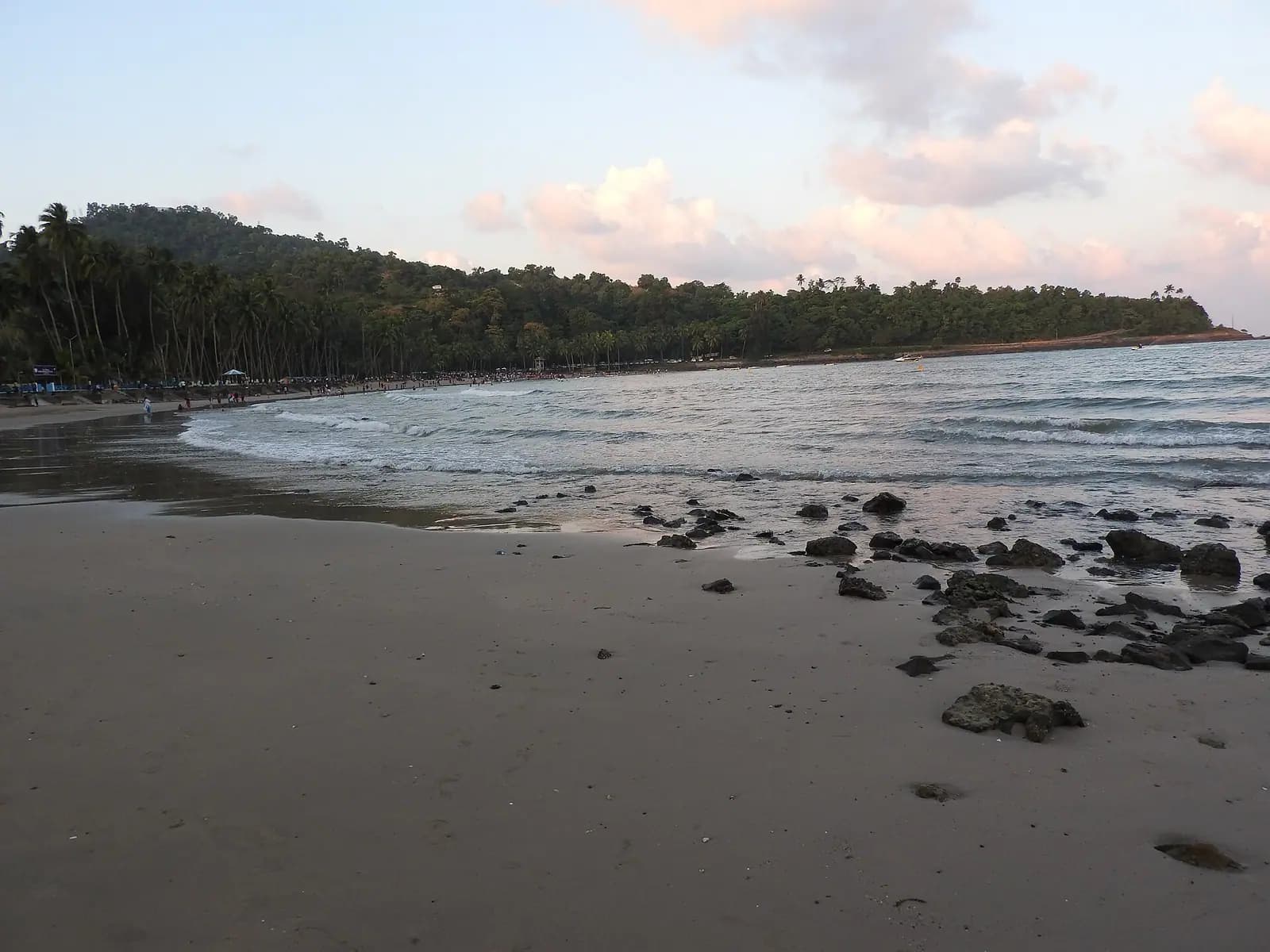 Palms along the sand at Corbyn's Cove beach near Port Blair, Andaman Islands