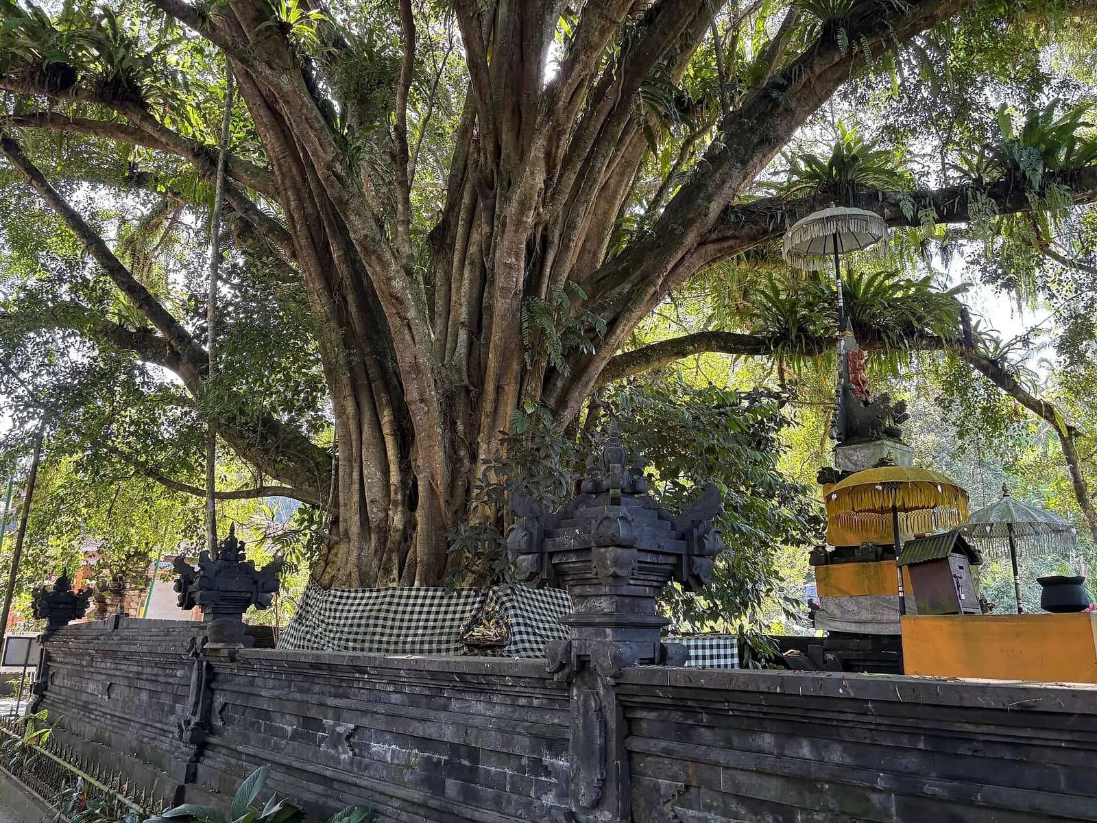The spring-fed bathing pools of Tirta Empul temple in Bali