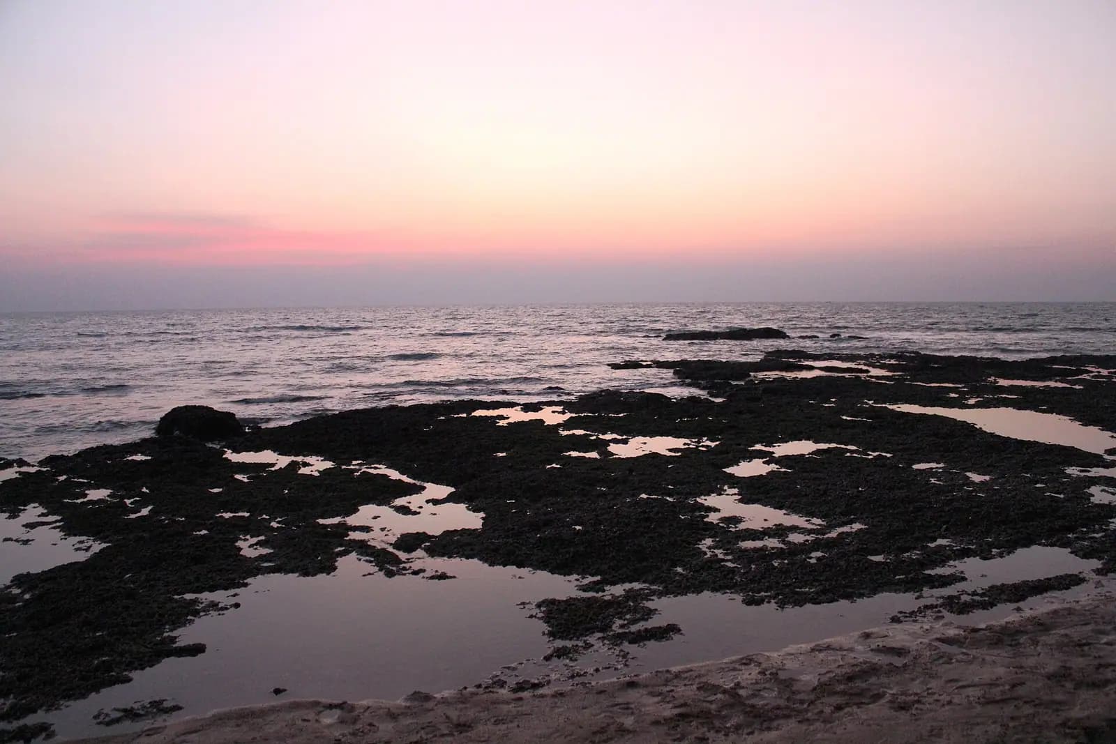 Rocky headland and palms at Anjuna beach in North Goa