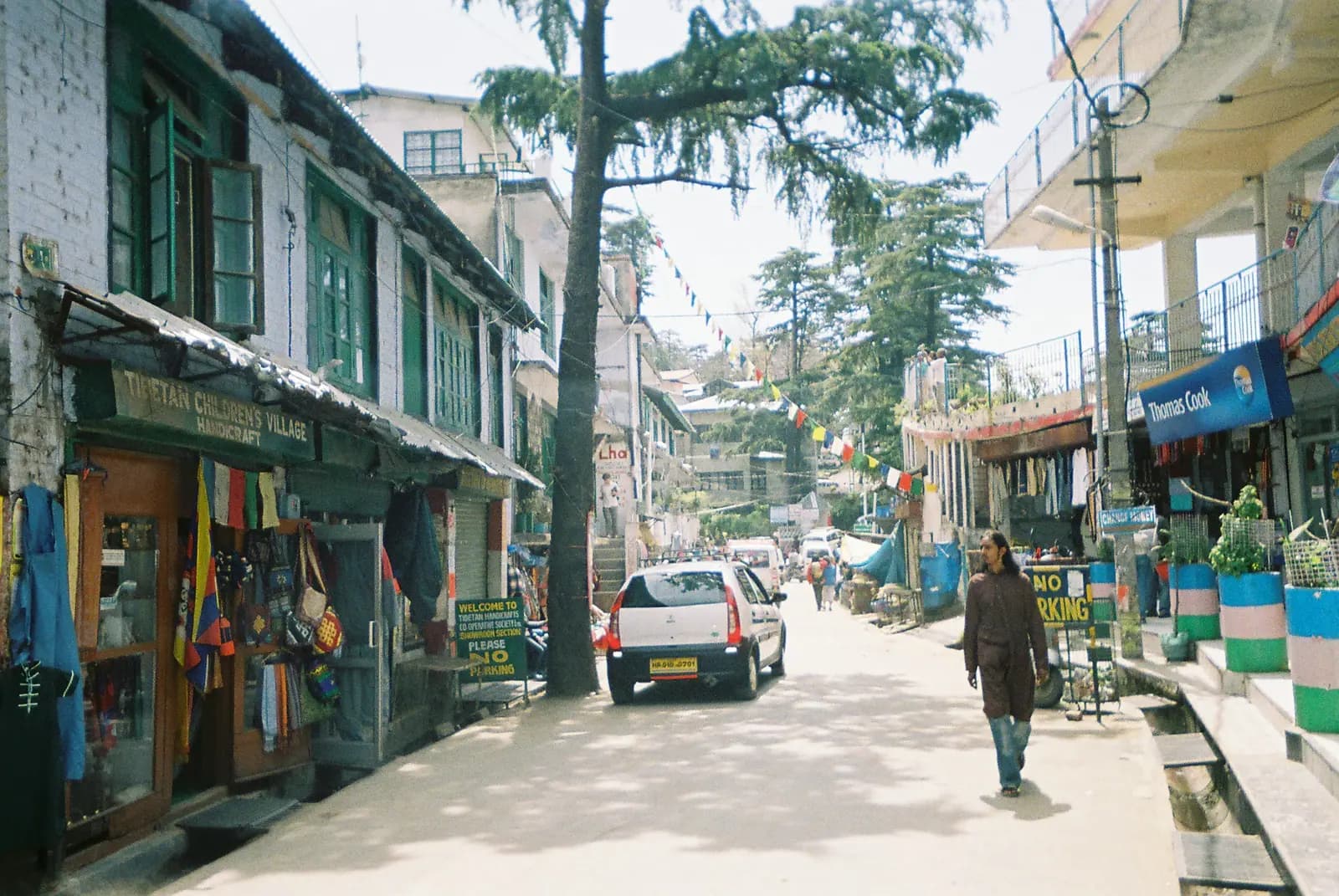 Hillside streets and Tibetan prayer flags at McLeod Ganj above Dharamshala