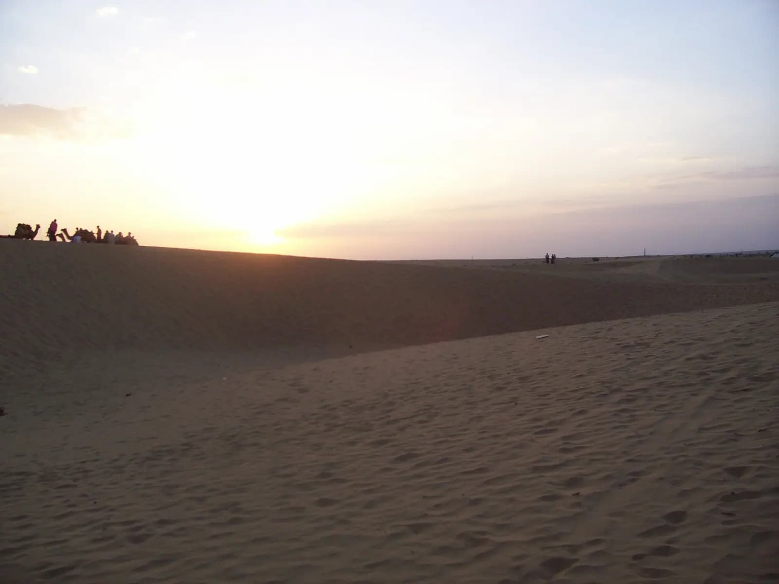 Camels crossing the Sam sand dunes of the Thar desert near Jaisalmer, Rajasthan
