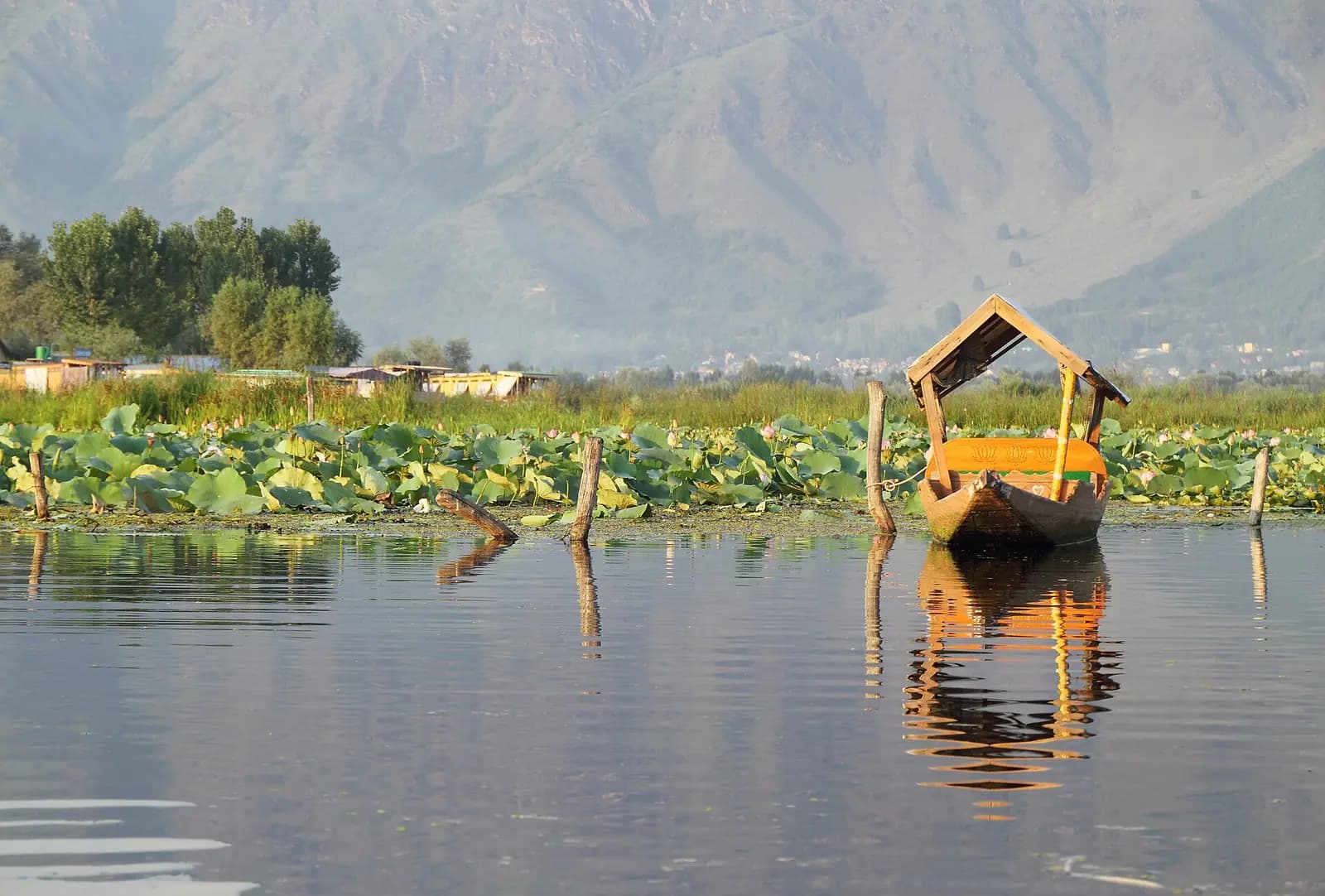 Shikara boats on the still water of Dal Lake at Srinagar, Kashmir
