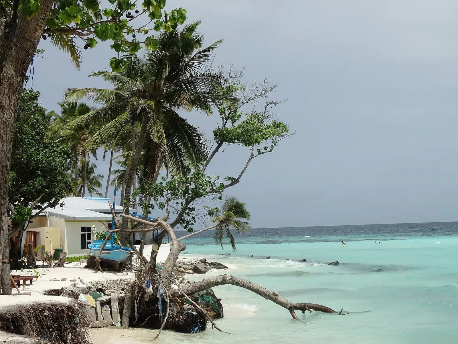 Beach Scene - Maafushi Island - South Male Atoll - Maldives - 01