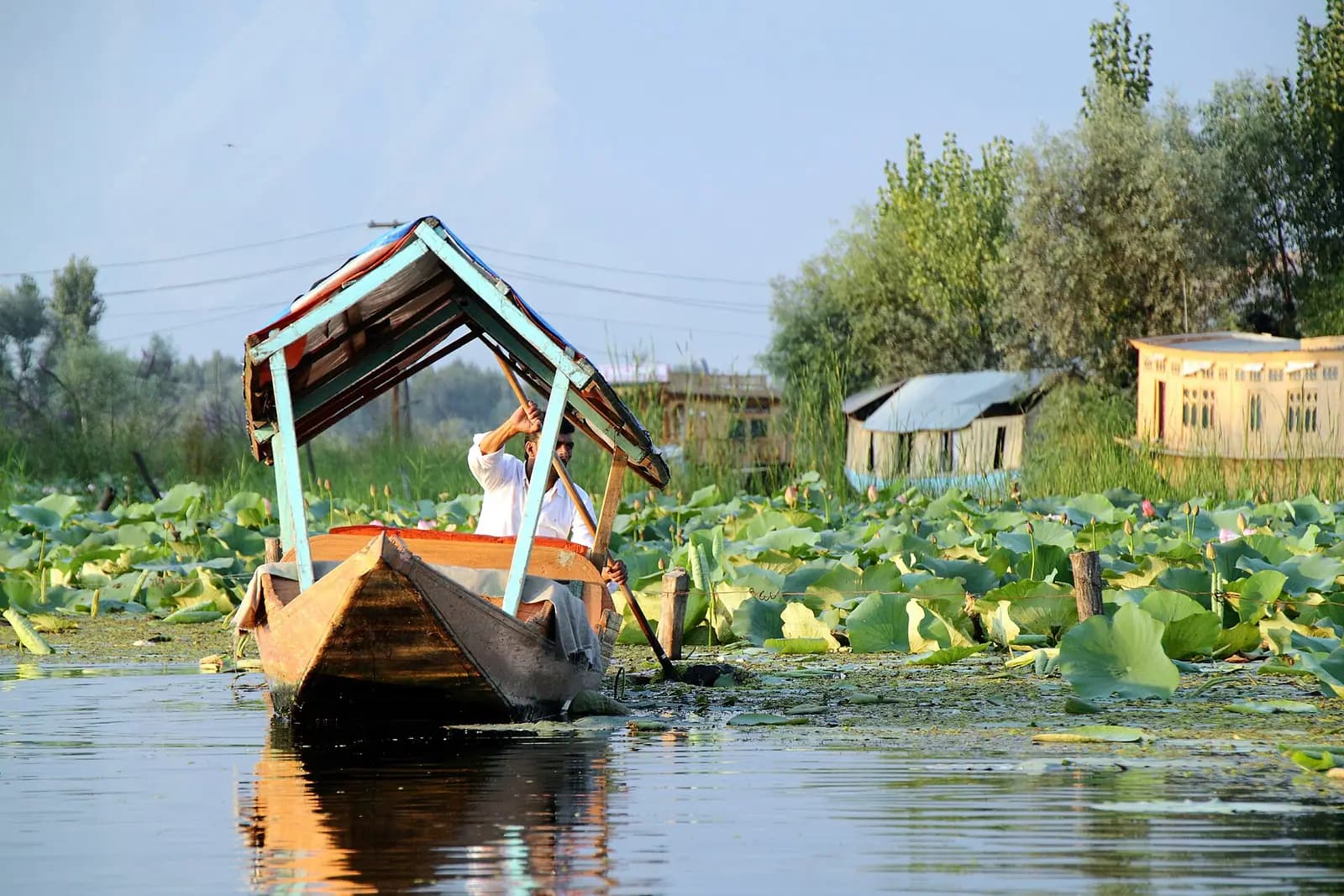Shikara boats on the still water of Dal Lake at Srinagar, Kashmir