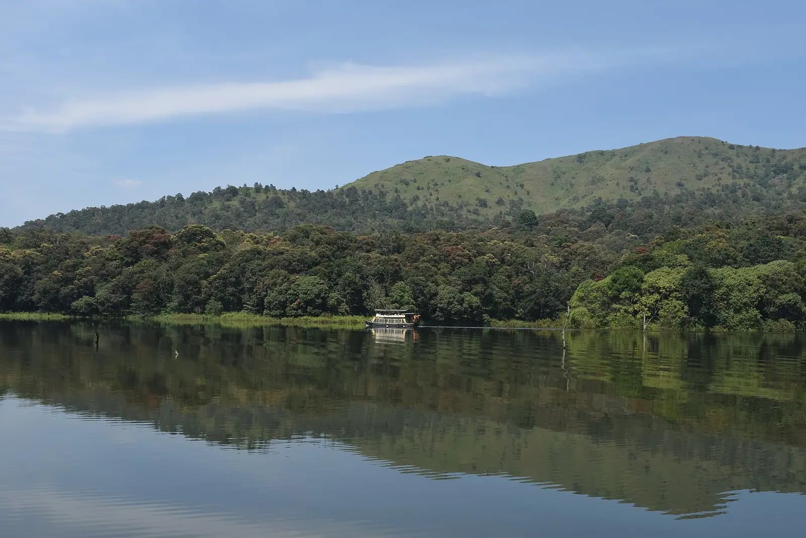 Drowned tree stumps standing in Periyar lake at Thekkady, Kerala