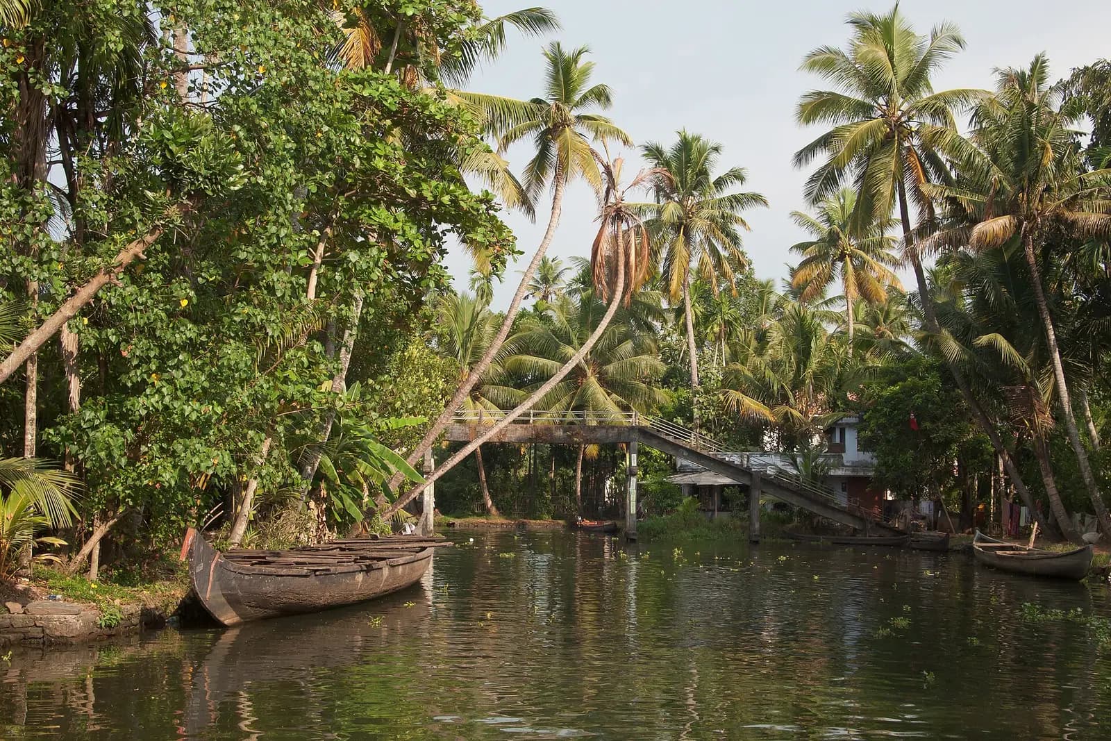 A narrow palm-lined backwater canal near Alappuzha, Kerala