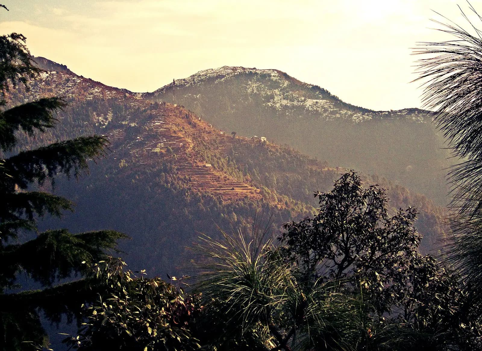 Colonial-era buildings on the pine-covered slopes of Dalhousie, Himachal Pradesh