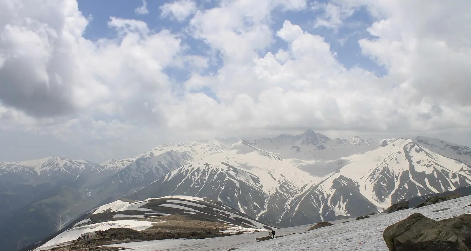 Green summer meadows and pine forest at Gulmarg in the Pir Panjal range, Kashmir