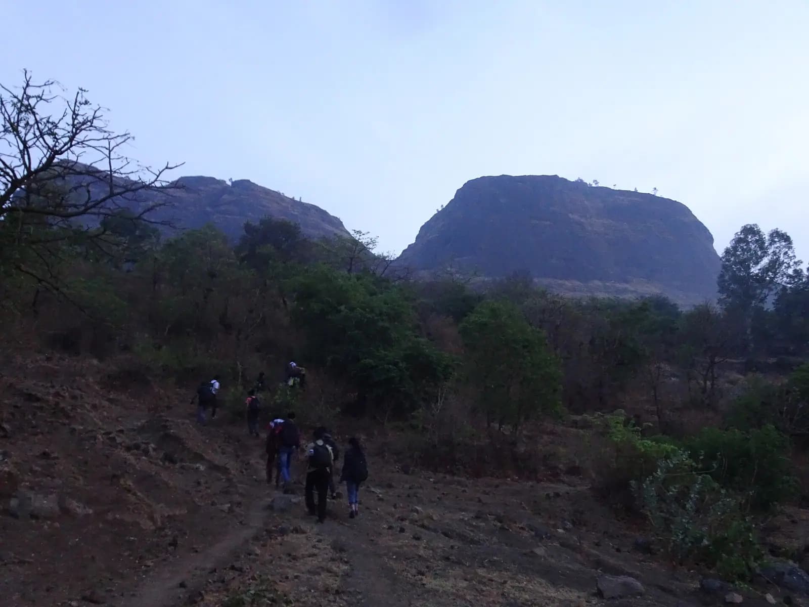 A group trekking together in the hills of Himachal Pradesh