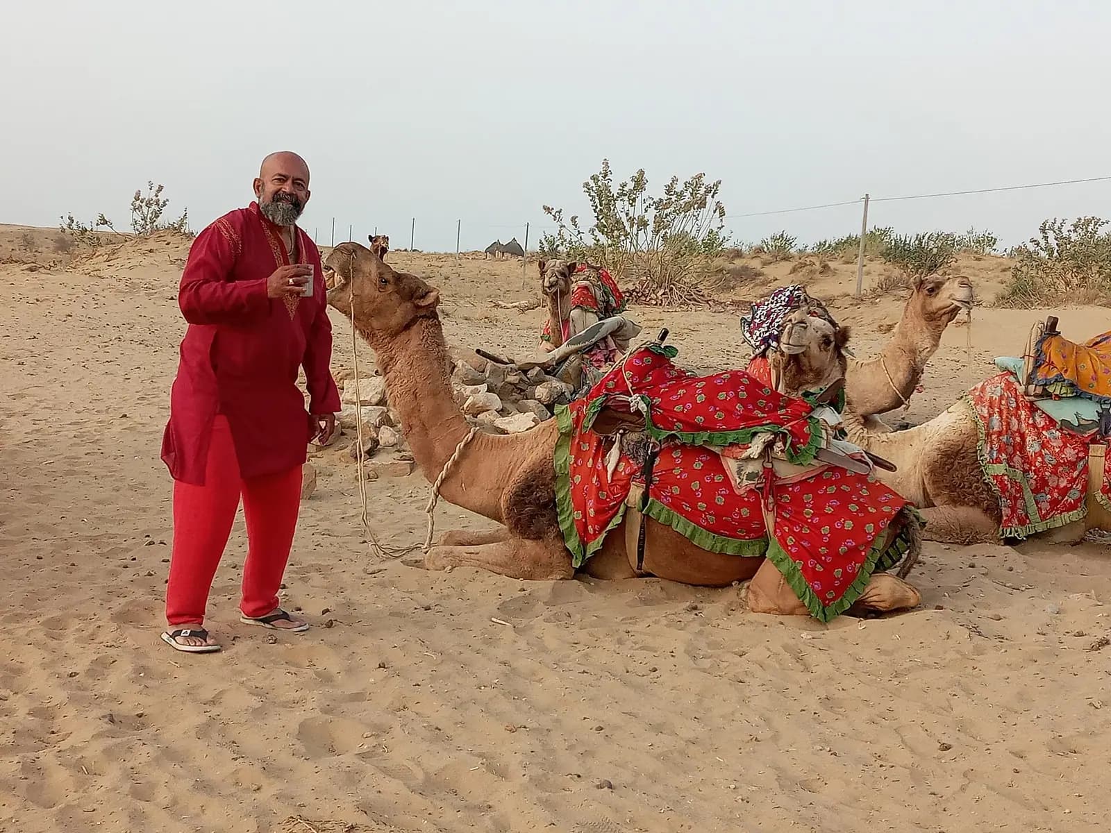 Camels crossing the Sam sand dunes of the Thar desert near Jaisalmer, Rajasthan