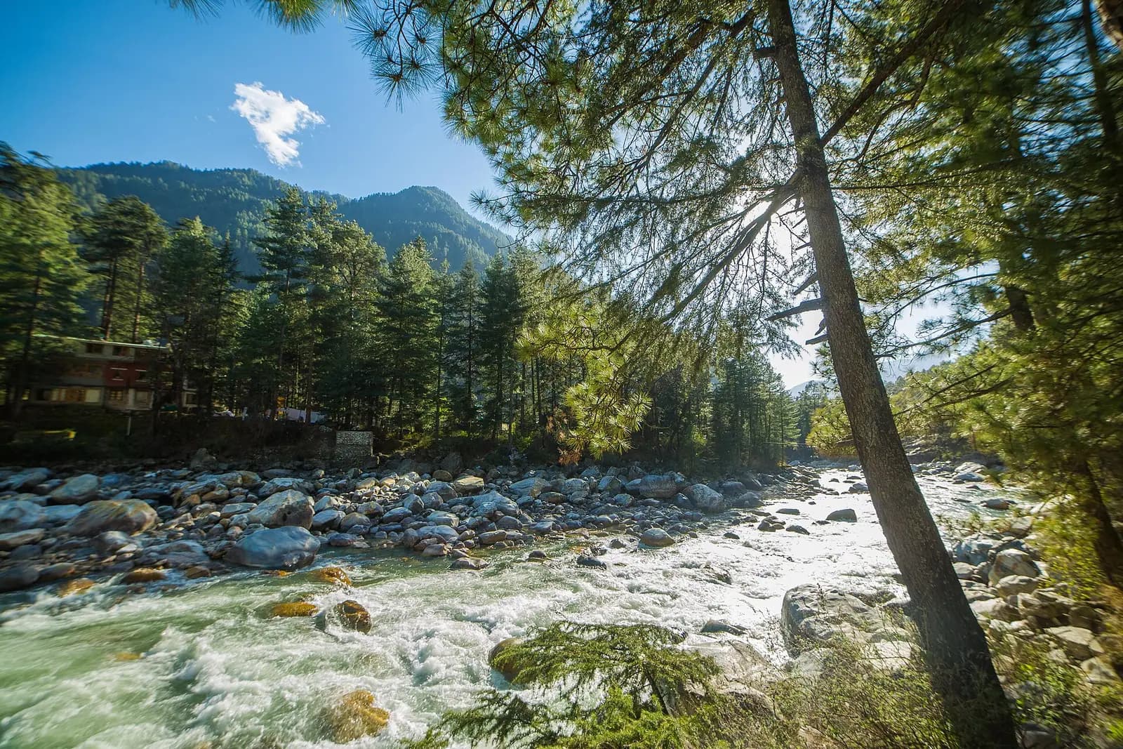 The Parvati river running fast over pale boulders in Himachal Pradesh