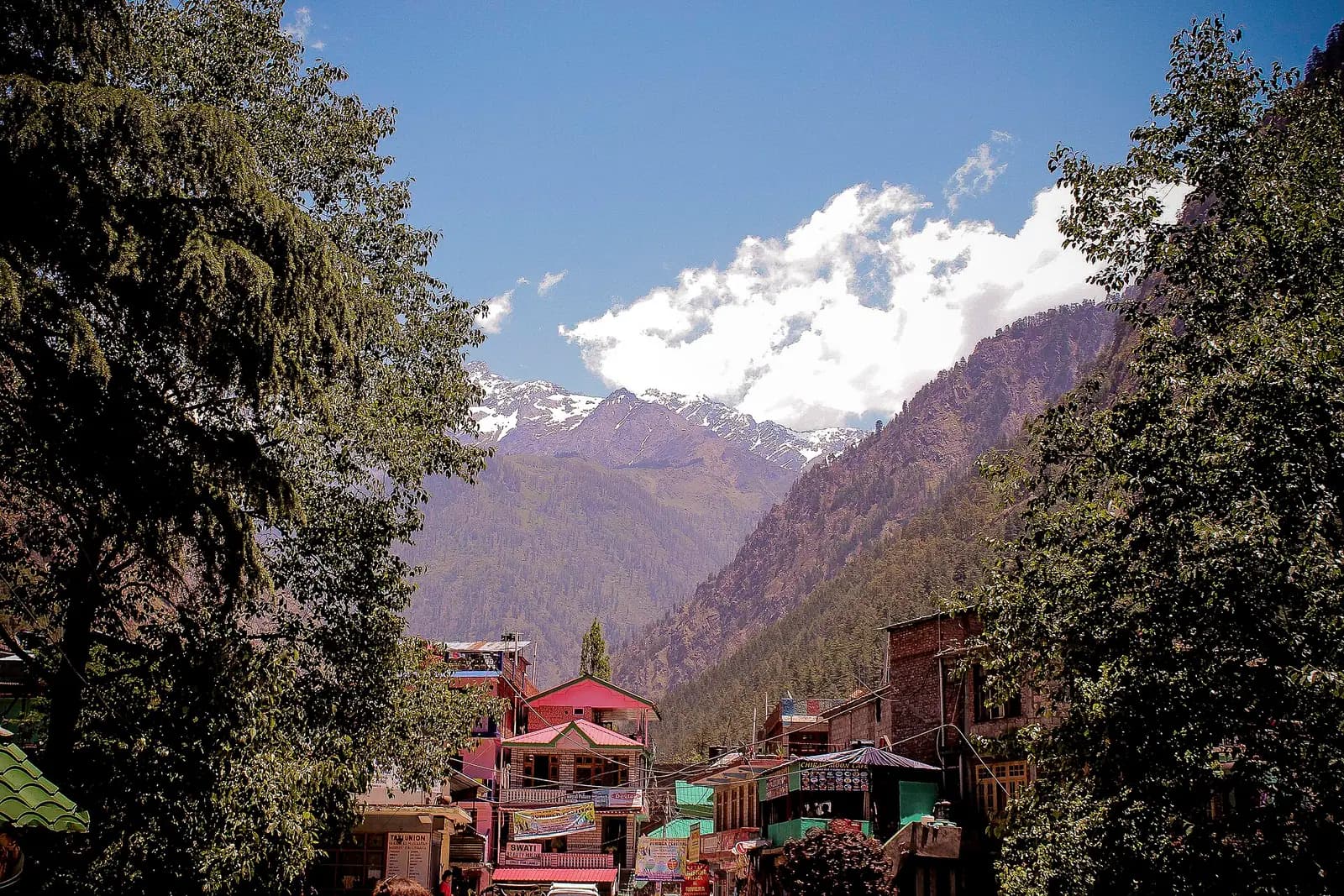Pine-covered slopes falling to the Parvati river at Kasol, Himachal Pradesh