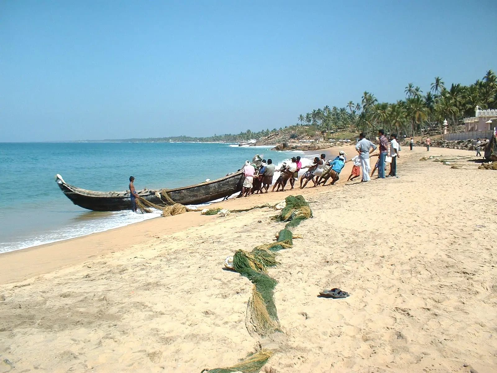 Palms leaning over the sand and surf at Kovalam, Kerala