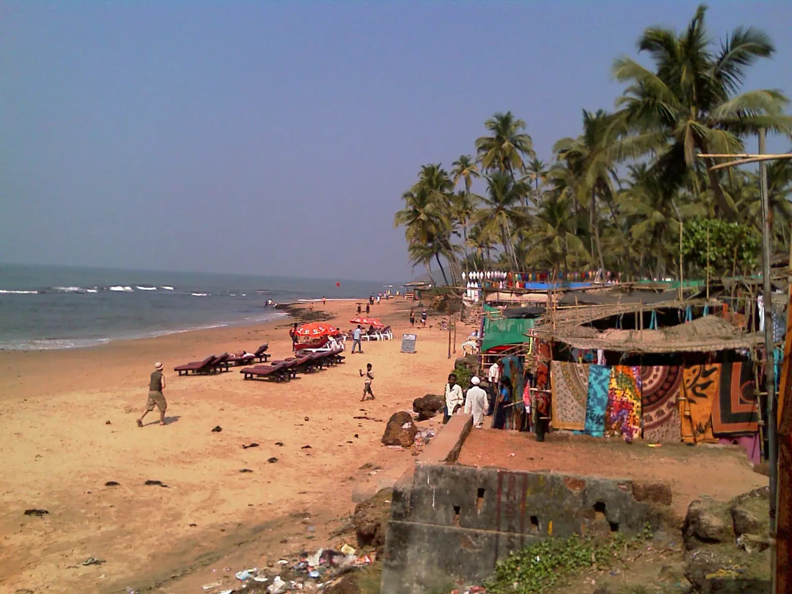 Rocky headland and palms at Anjuna beach in North Goa