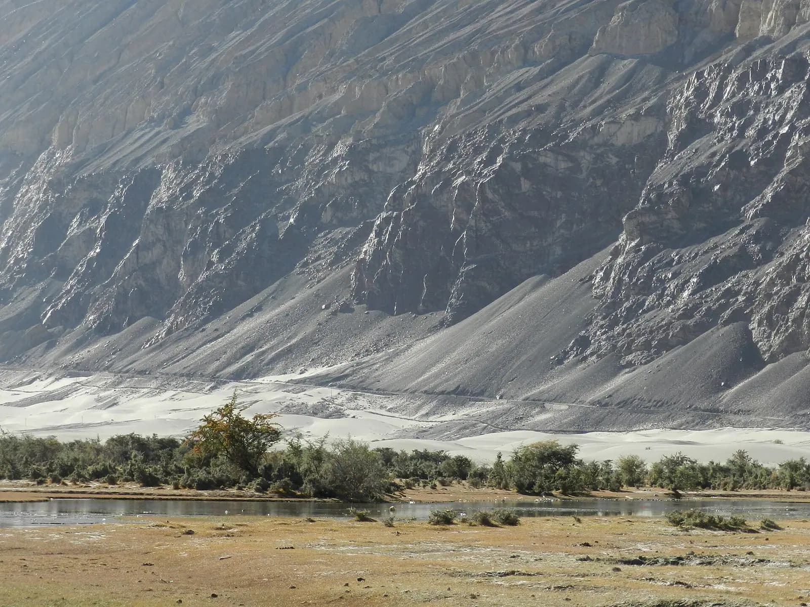 The broad braided river bed of the Nubra valley between bare Ladakhi ranges