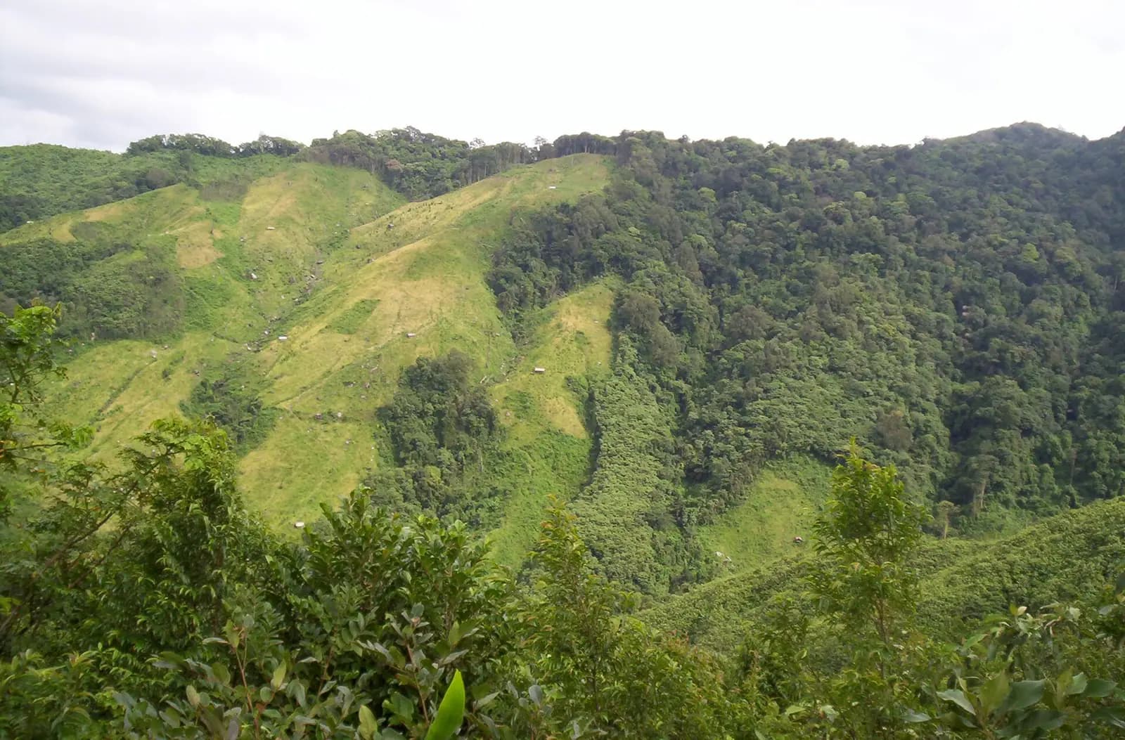 Green forested hills and cloud in the North East Indian states
