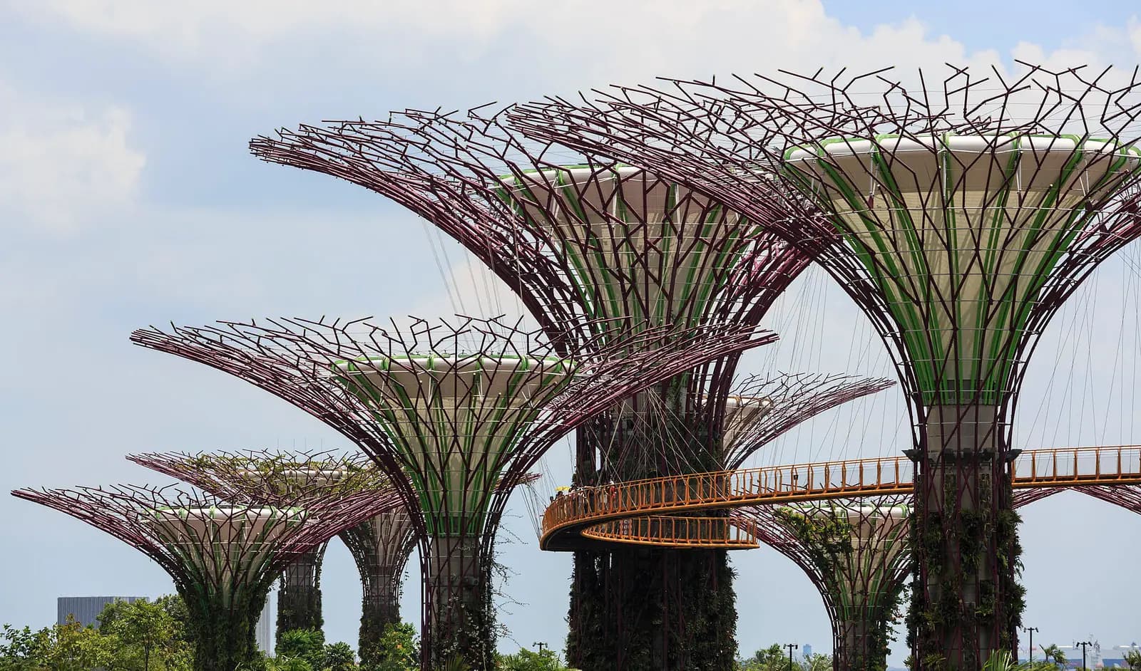 The Supertree structures at Gardens by the Bay, Singapore