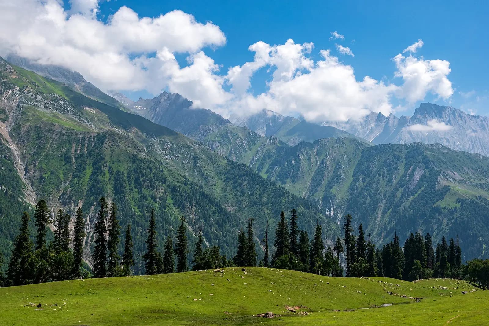 The Sindh river crossing the wide green meadow of Sonamarg in Kashmir
