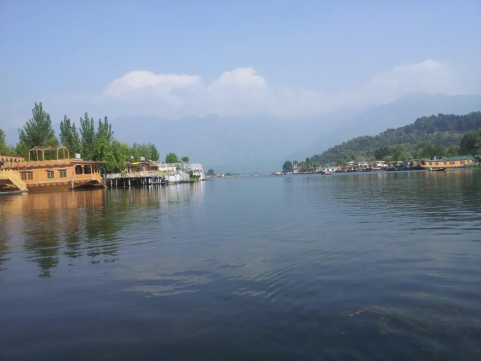 Carved wooden houseboats moored along the edge of Dal Lake in Srinagar, Kashmir