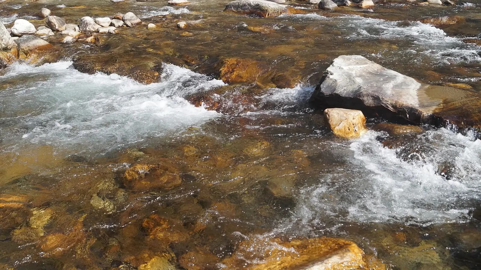 The Tirthan river running between forested banks in the Tirthan valley, Himachal Pradesh