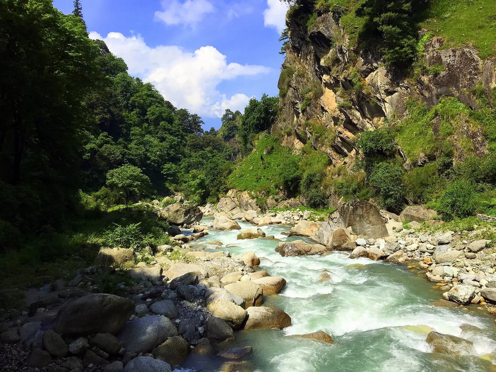 The Tirthan river running clear between forested slopes in Himachal Pradesh